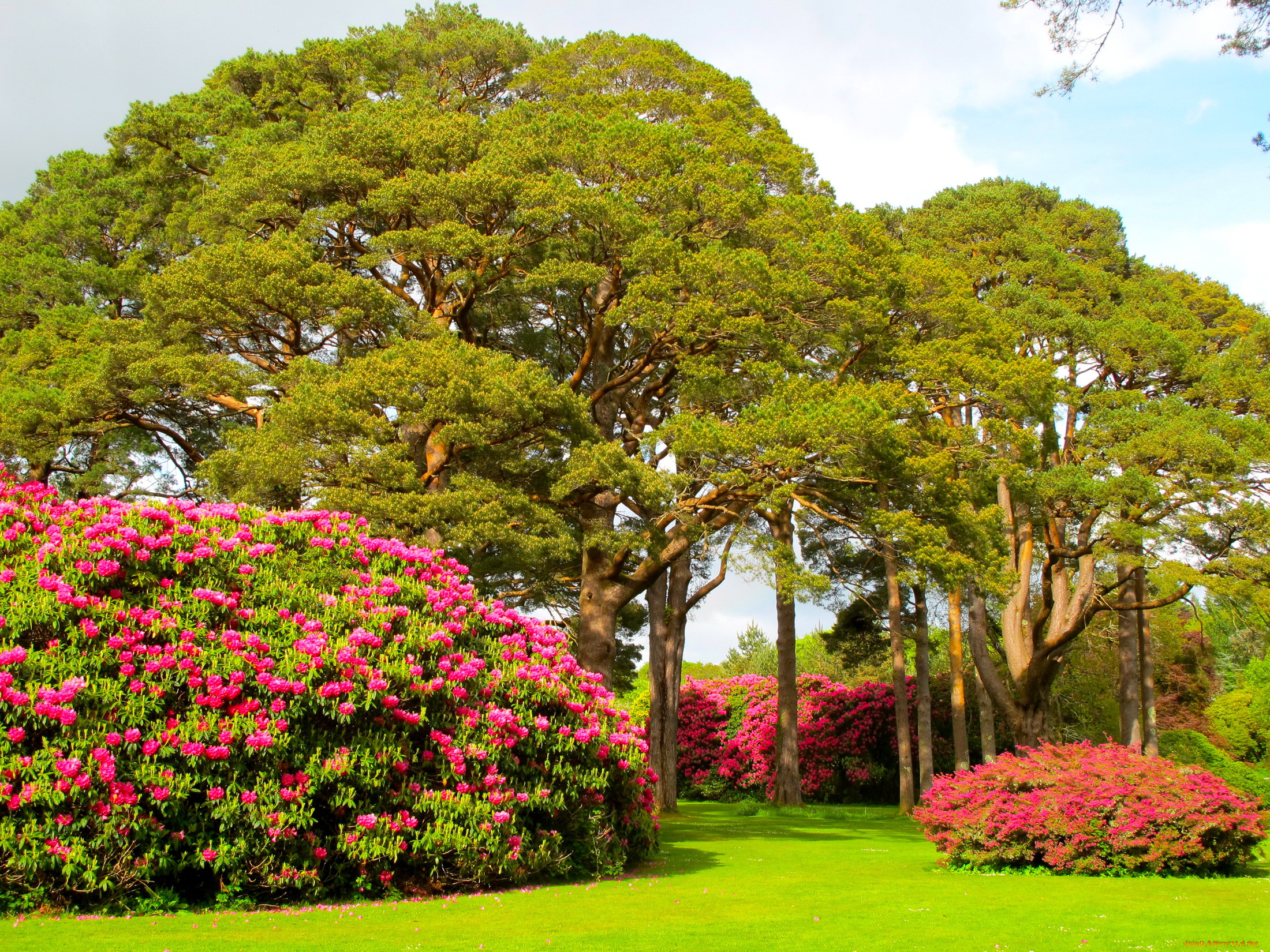 muckross, house, garden, ireland, , , , 